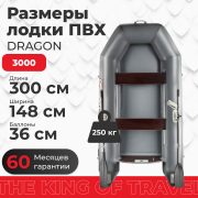 Фото лодки DRAGON 3000
